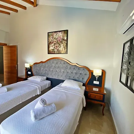 Tlos Dream 3+1 Villa, Oezel Havuzlu, ヴィラ *