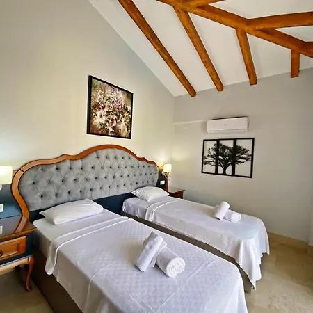 ヴィラ Tlos Dream 3+1 Villa, Oezel Havuzlu, *